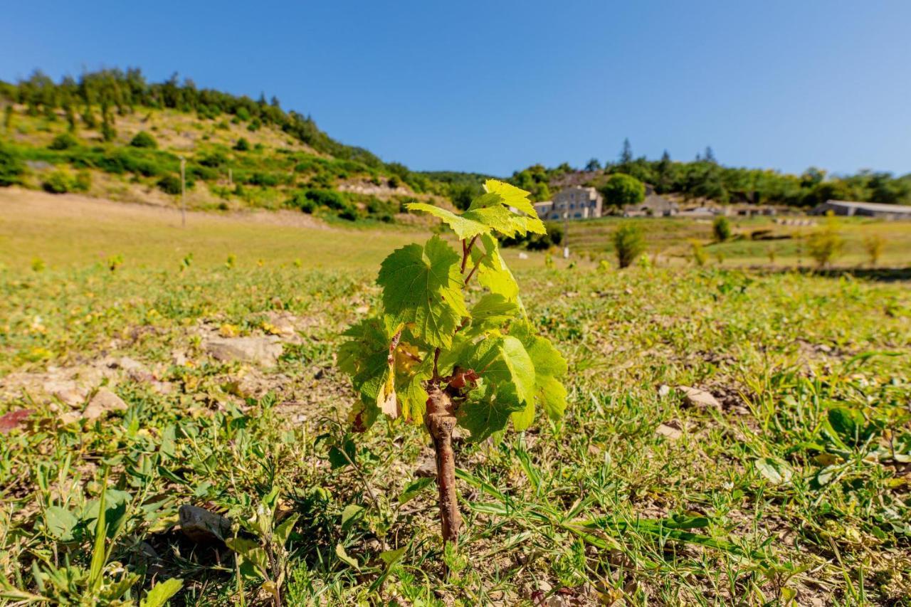 Domaine De Merlac Rieussec Екстер'єр фото